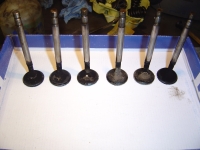  crusty valves